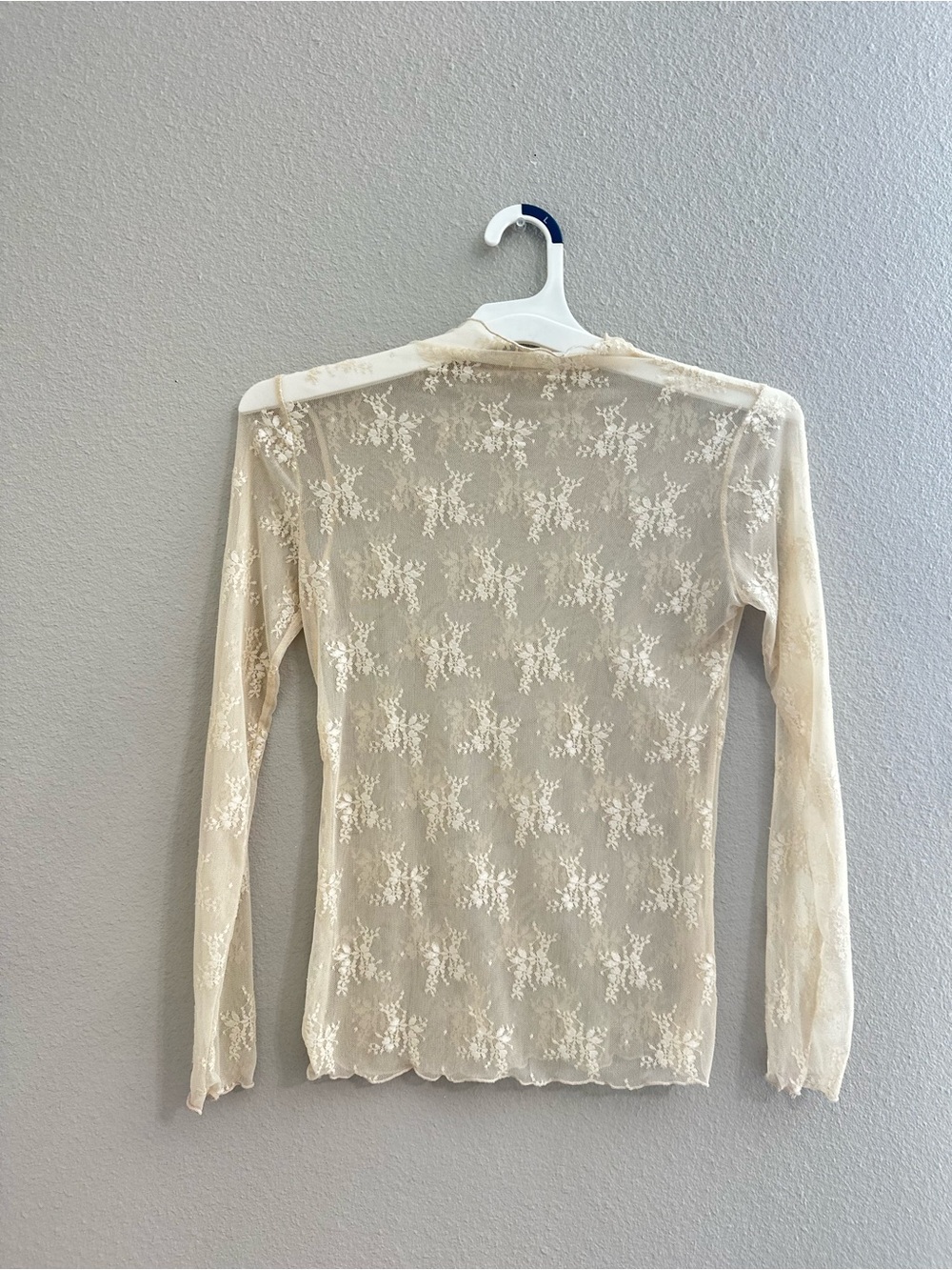 Sheer Floral Lace Long-Sleeve Top - Cream